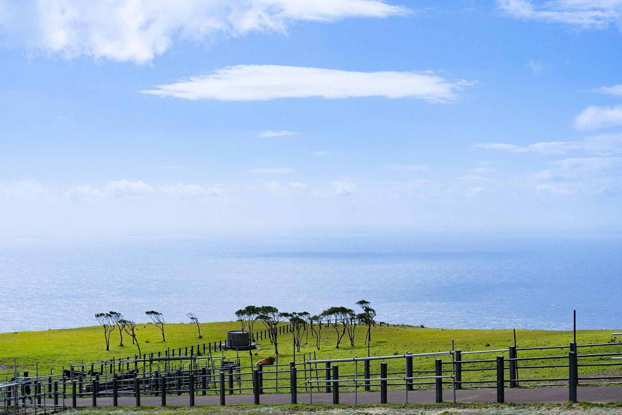 Hachijyo-Island Blue Eight -八丈島ブルーエイト- Villa Mitsune Kültér fotó